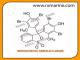 BROMOCRESOL GREEN ACS GRADE