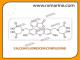 CALCEIN FLUORESCEIN COMPLEXONE