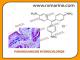 PARAROSANILINE HYDROCHLORIDE