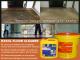 Floor Cleaner 10 Ltr