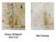 Floor Cleaner HD 25 Ltrs